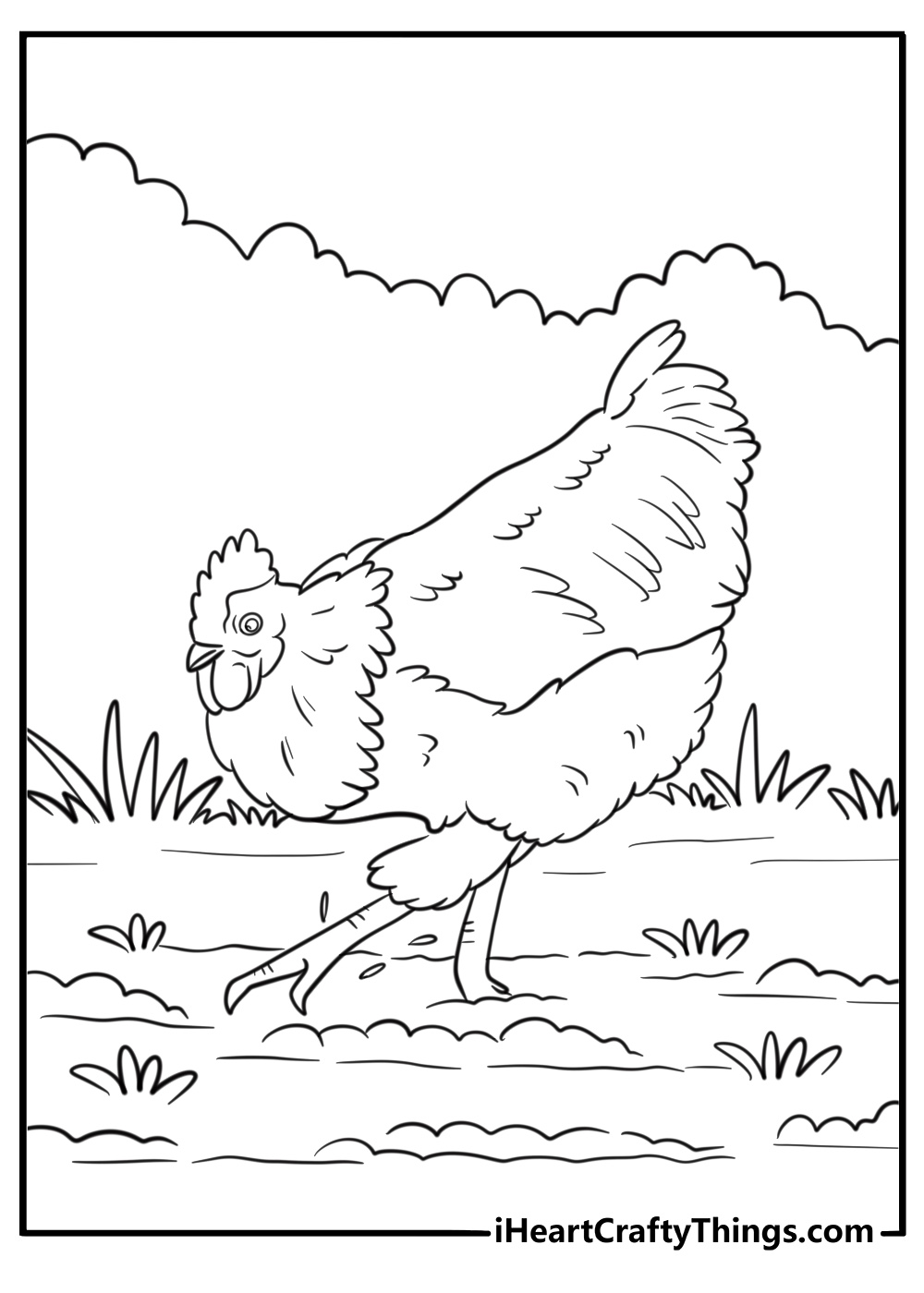 rooster scratching the ground for food coloring page