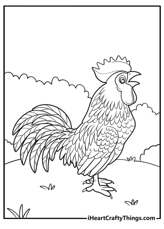 Rooster with curled tail feathers coloring page