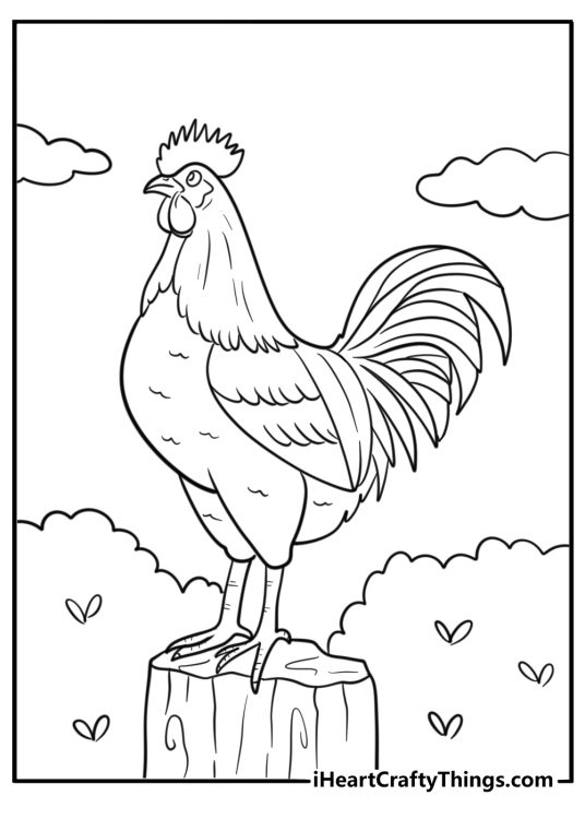 Rooster with tail feathers spread wide coloring page