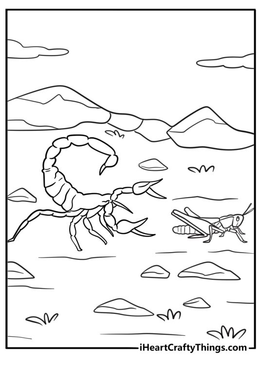 Scorpion chasing an insect free printable coloring page