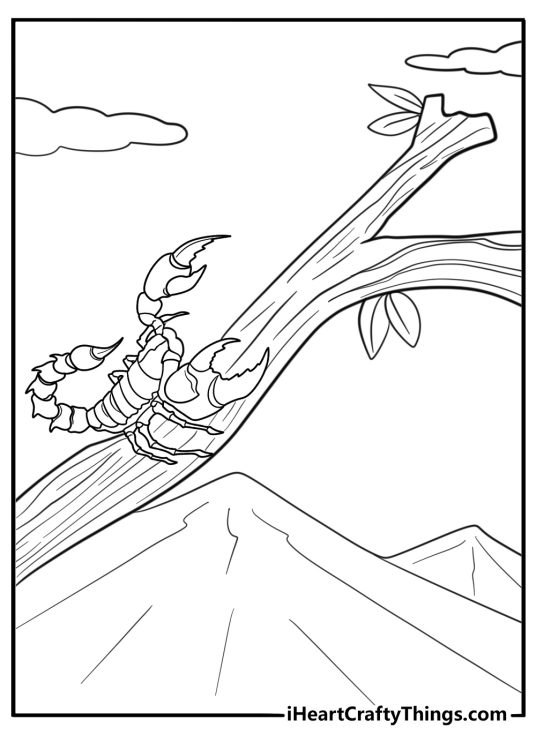 Scorpion climbing a tree branch free printable coloring page