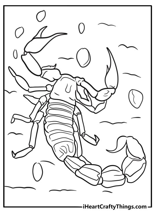 Scorpion coloring pages