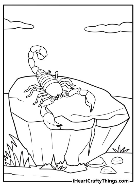 Scorpion crawling on a rock fun printable coloring sheet
