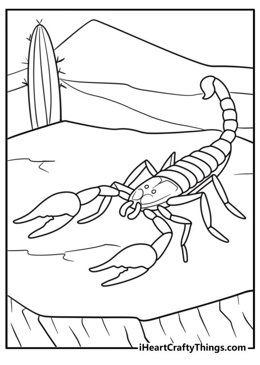 Scorpion defending territory detailed coloring sheet