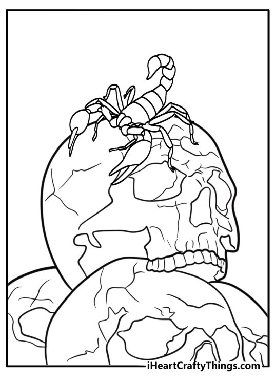 Scorpion resting near a skull detailed coloring sheet