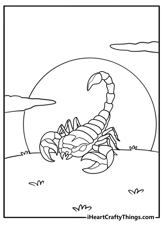 Scorpion silhouette in the sunset fun coloring sheet