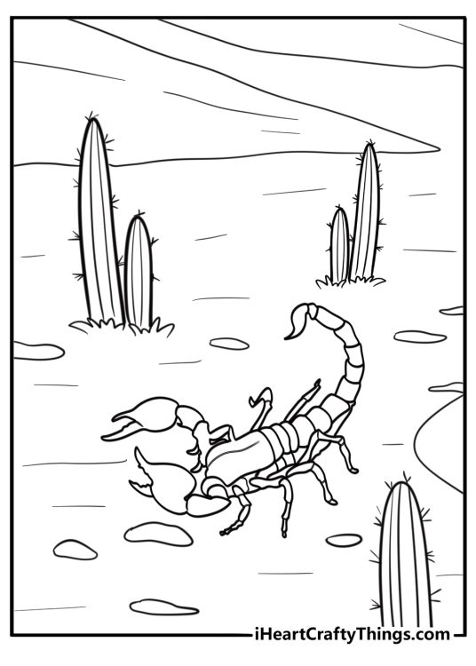 Scorpion surrounded by cacti detailed coloring sheet