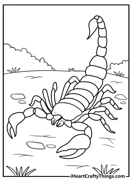 Scorpion with large pincers free coloring page pdf
