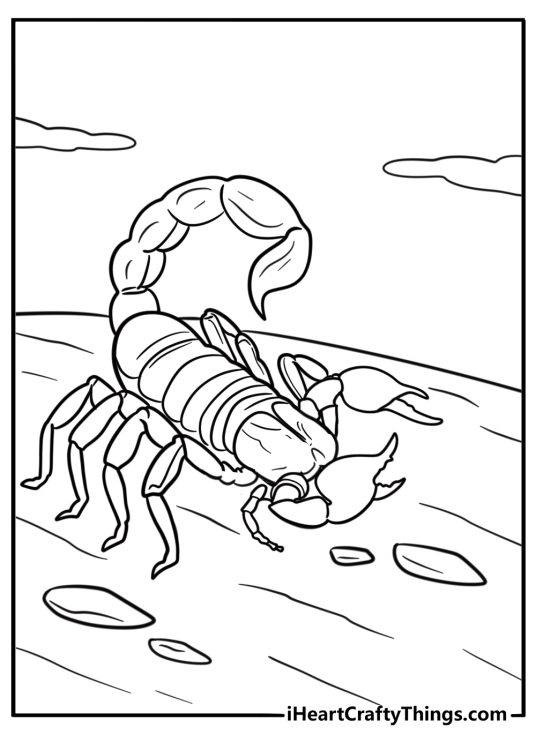 Scorpion with raised tail coloring page for kids