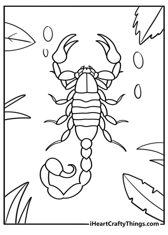 Scorpion with segmented body fun printable coloring sheet