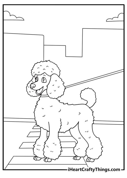 service dog poodle guiding at a crosswalk coloring sheet