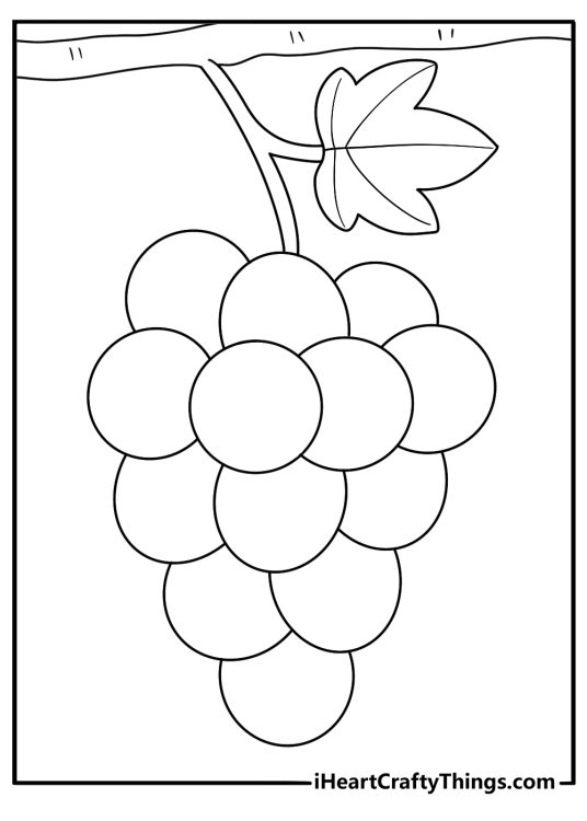 simple grapes bunch on a vine coloring page for kids