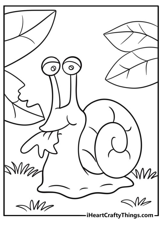 20 Snail Coloring Pages