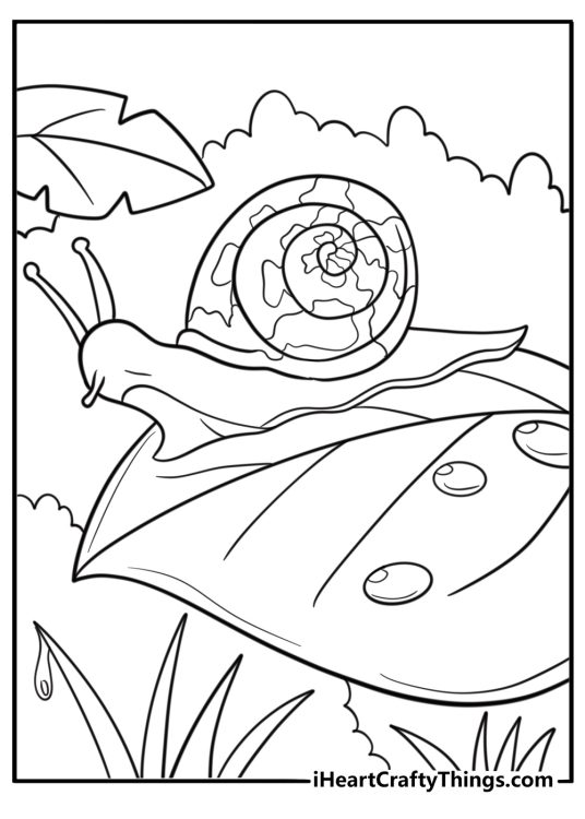 Snail crawling on a leaf coloring page for kids