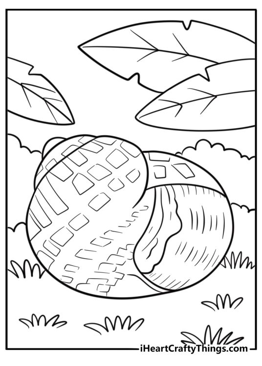 Snail hiding inside its shell coloring page for kids