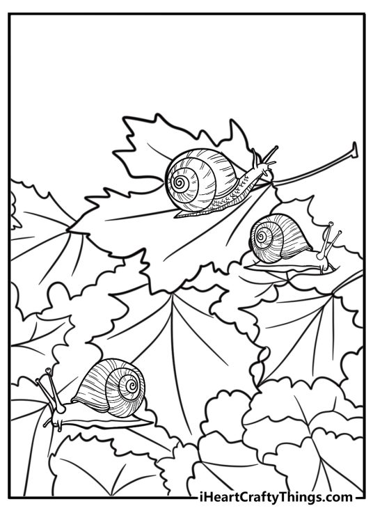 Snail next to fallen autumn leaves coloring sheet