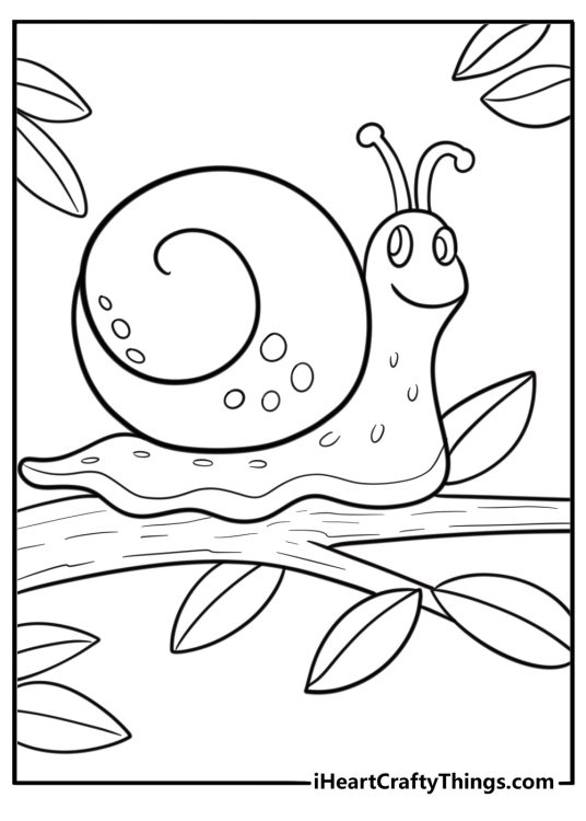 Snail on a tree branch in the forest coloring page