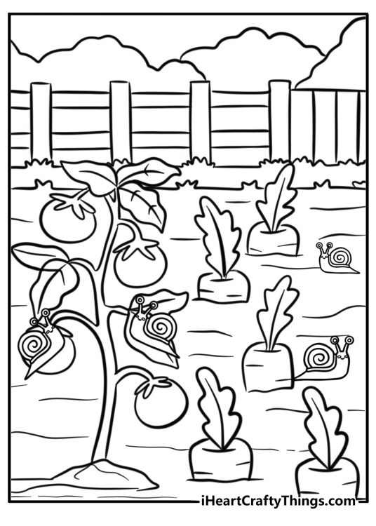 Snail on a vegetable in a garden detailed coloring sheet