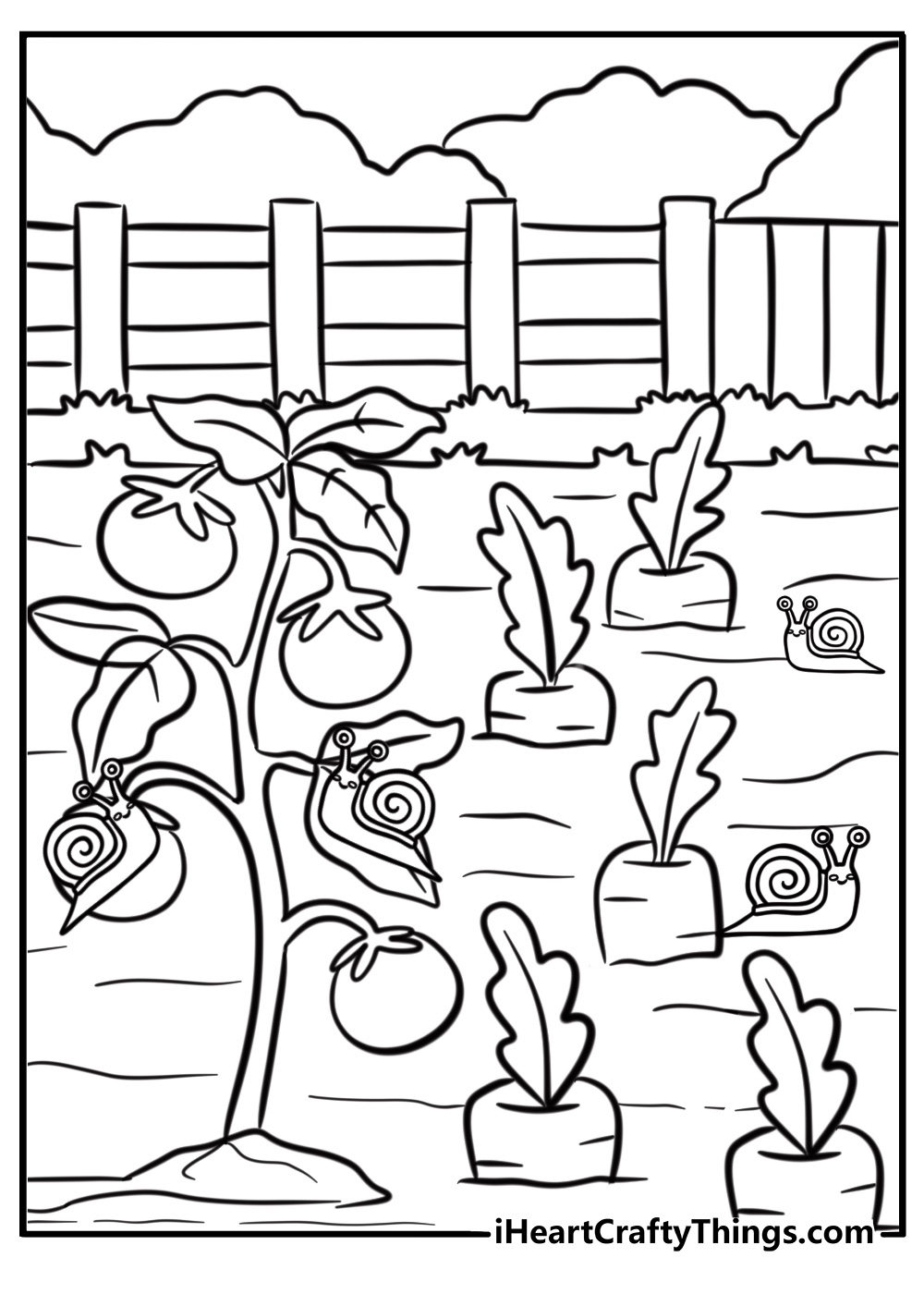 snail on a vegetable in a garden detailed coloring sheet