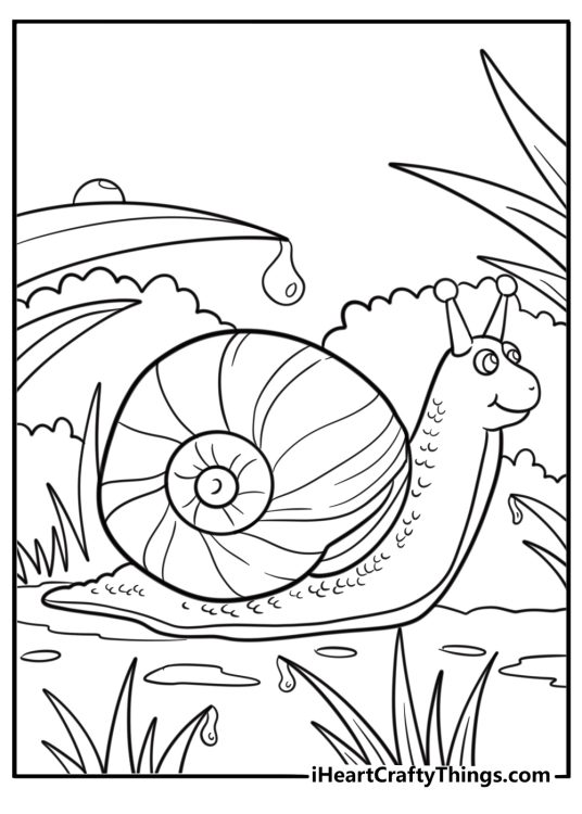 Snail on wet grass after rain detailed coloring sheet