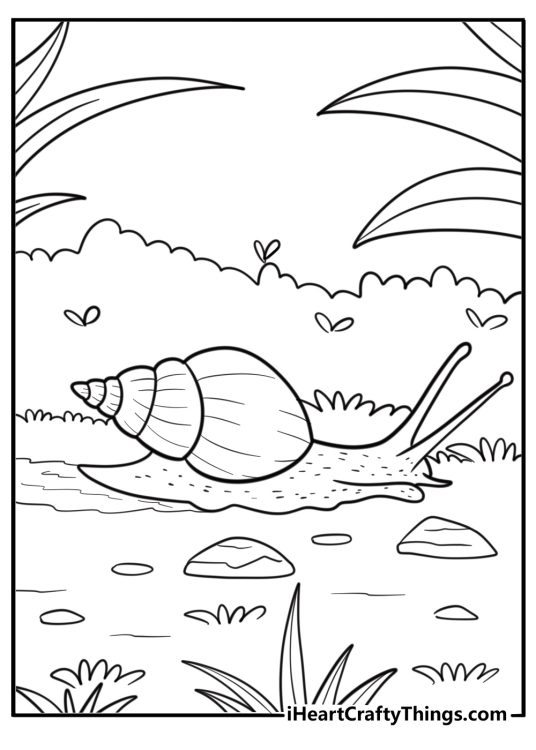 Snail trail behind a moving snail coloring page