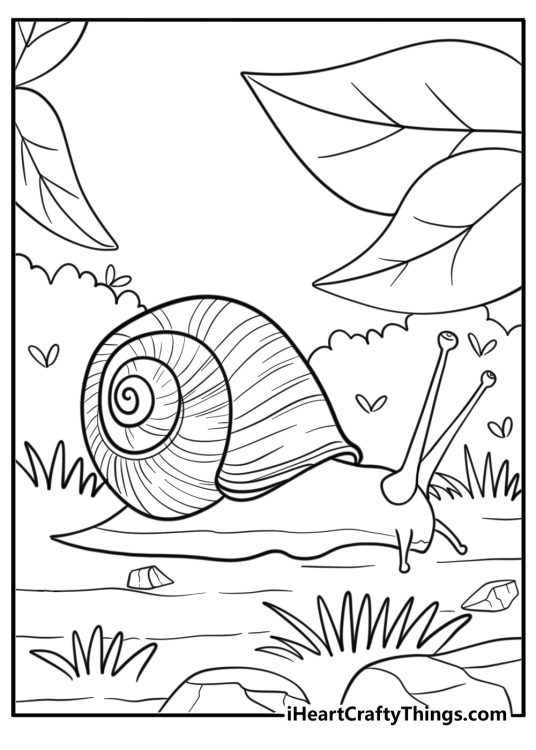 Snail with a spiral shell on the ground coloring sheet