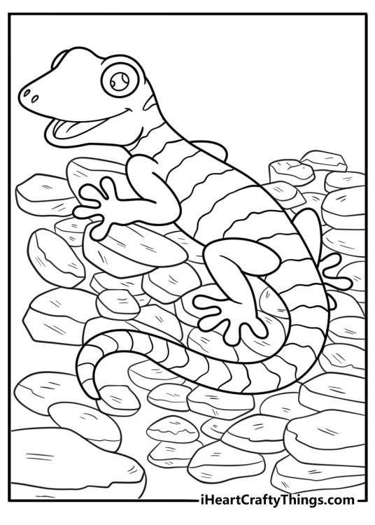 Spotted gecko on ground with pebbles coloring page
