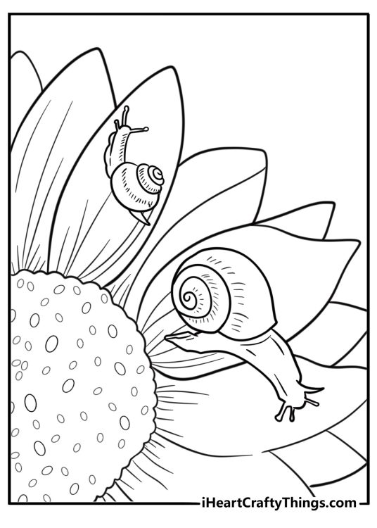 Tiny snail on a sunflower petal free coloring page pdf