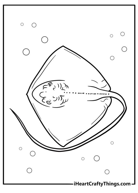 Top view of stingray with diamond shaped body coloring sheet