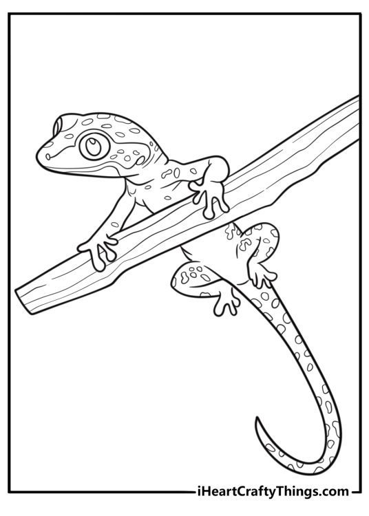 Tree-dwelling gecko with long tail fun coloring sheet