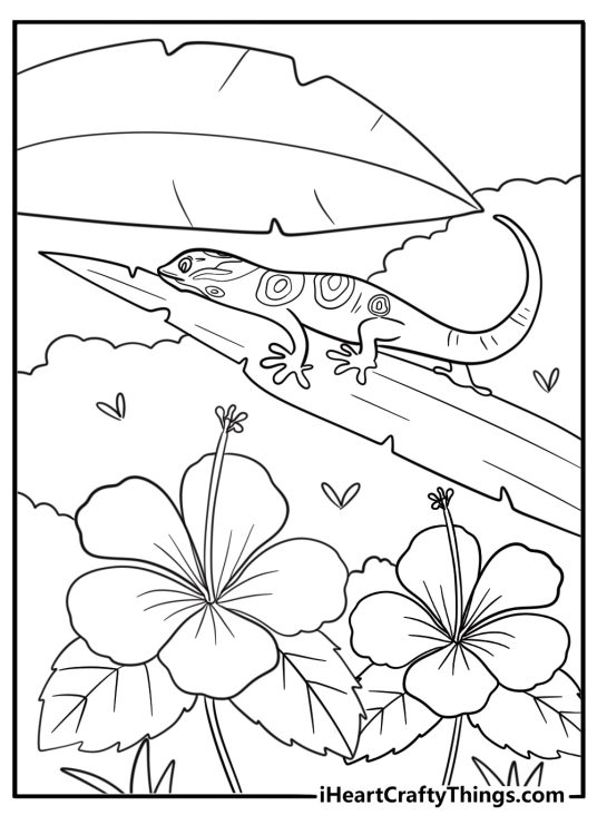 Tropical gecko near flowers and leaves printable coloring page