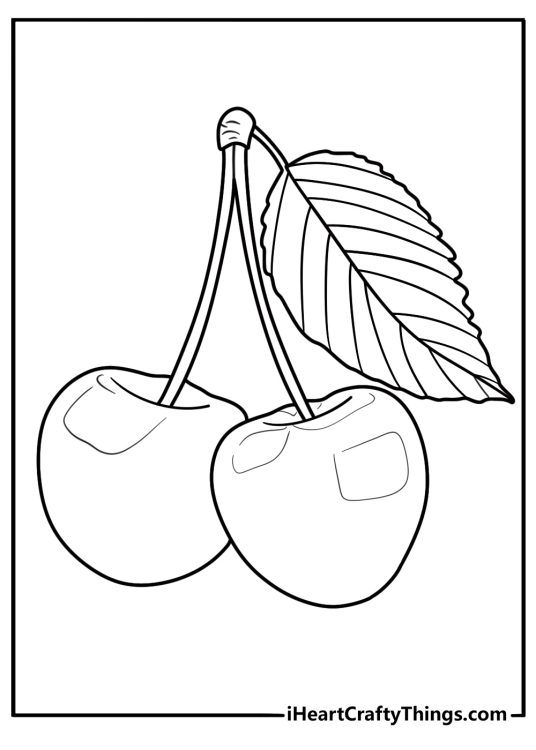 Two cherries with stems detailed coloring sheet