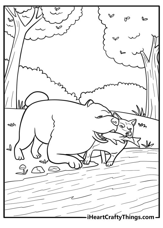 Two dogs fighting over a fish in the flow river scene
