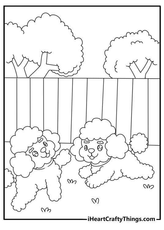 Two poodles playing together in the backyard coloring page