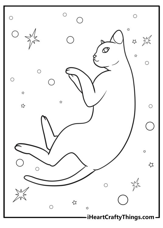 Weightless moment in flow with cat near glowing labyrinth