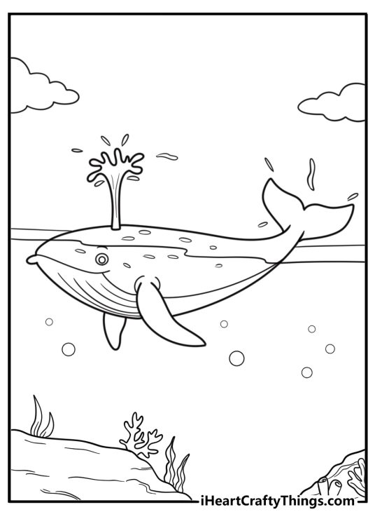 Whale blowing water from blowhole coloring sheet
