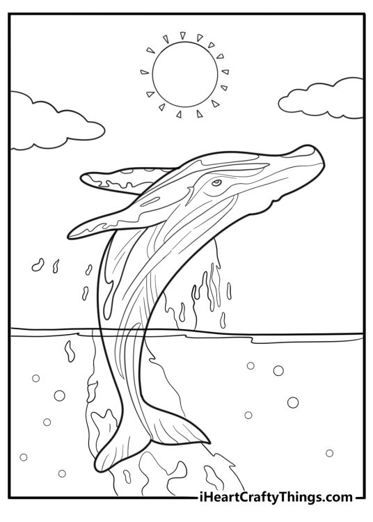 Whale breaching in front of sunset coloring page