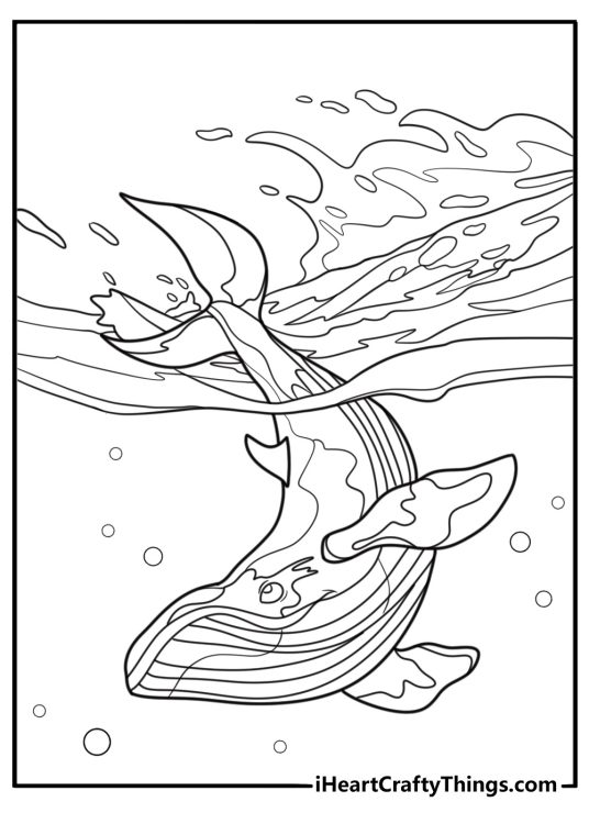 Whale coloring pages