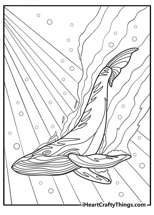 Whale gliding through calm sea coloring sheet