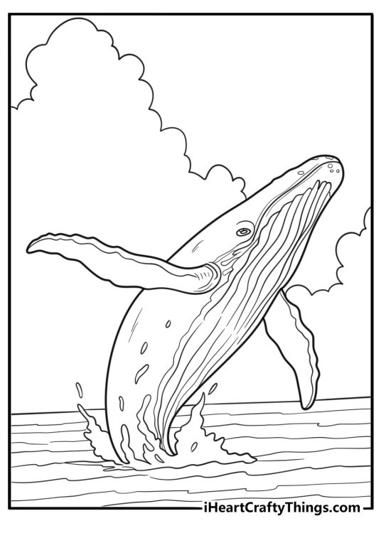 Whale in open sea with clouds coloring page