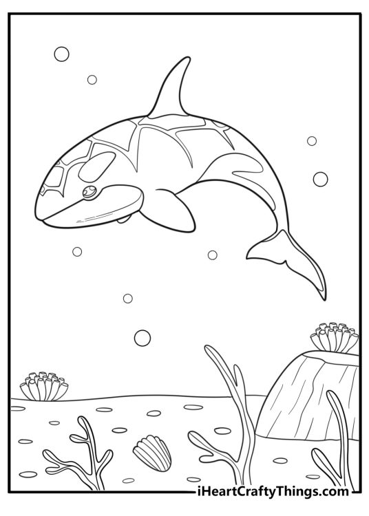 Whale near a coral reef coloring page