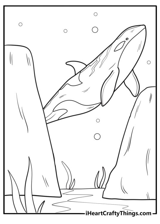 Whale near underwater rocks coloring sheet