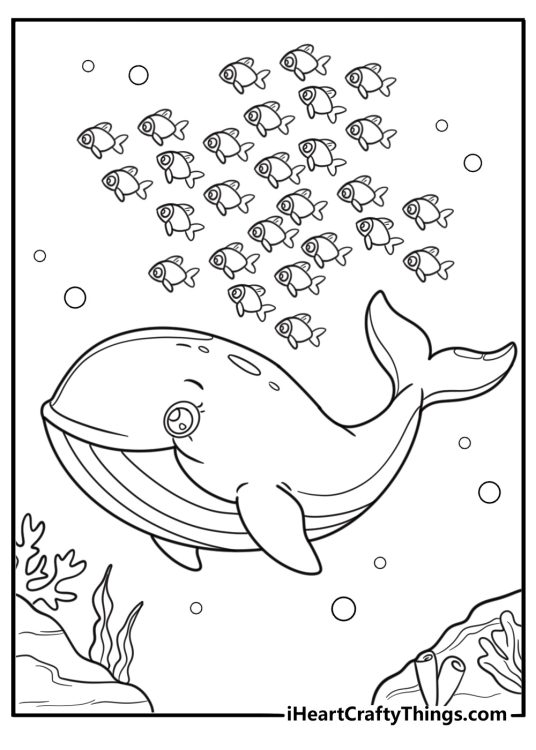 Whale next to a school of fish coloring sheet