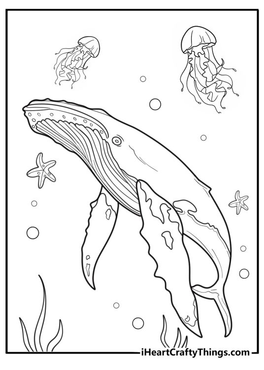 Whale next to jellyfish and starfish coloring sheet