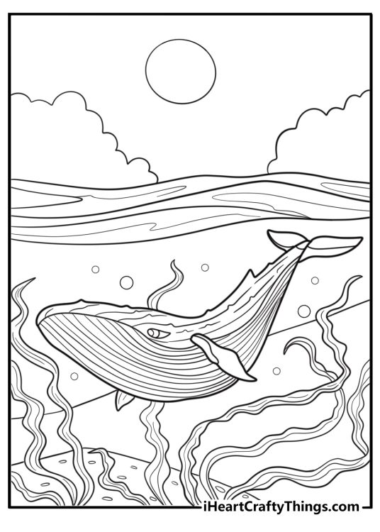Whale swimming near seaweed coloring sheet