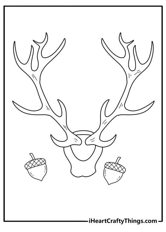 A simple deer coloring sheet shows antlers with small acorns