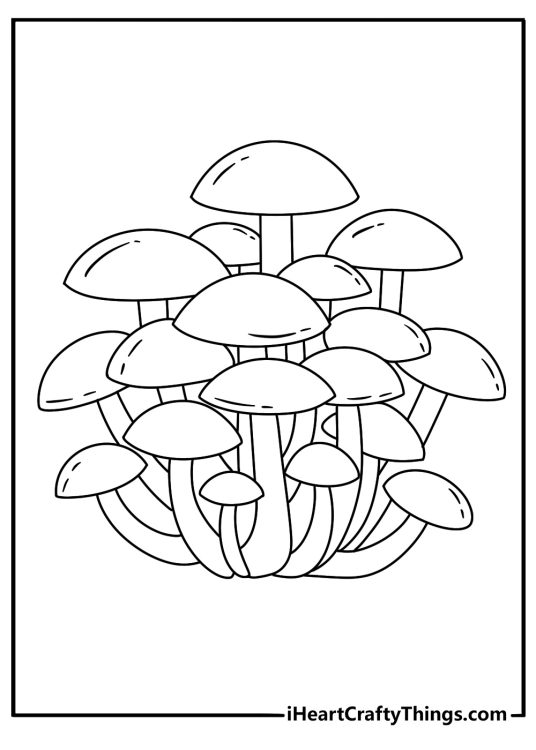 A small cluster of button mushrooms fills this easy coloring printable