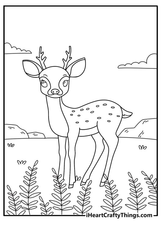 A spotted fawn peeks from behind fern leaves in this coloring sheet