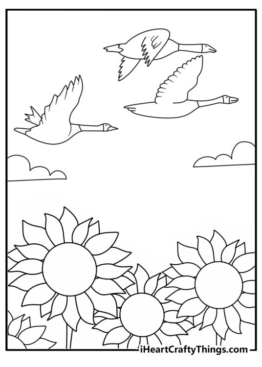 A sunflower field and flying geese fill this printable fall page
