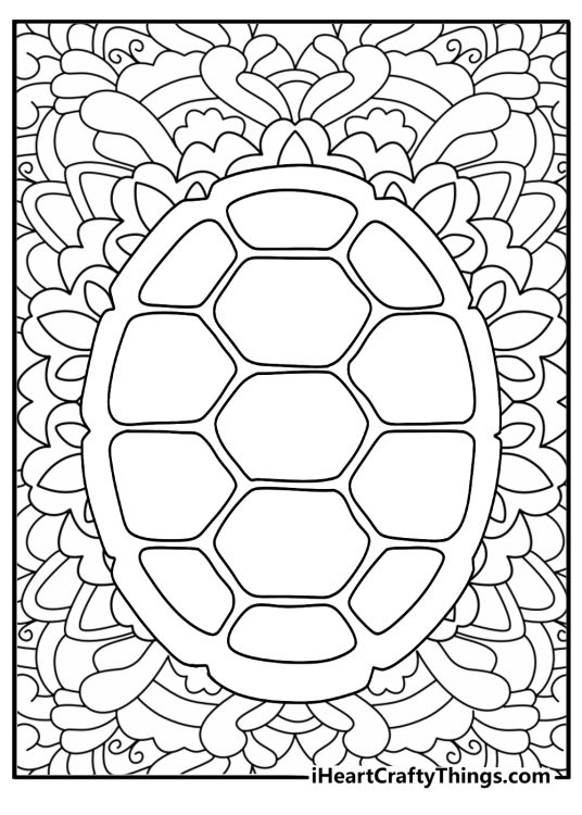 A turtle shell becomes the center of this detailed mandala page